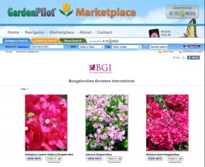 BGI Boug on Garden Pilot