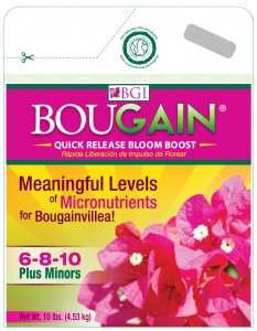 BOUGAIN 10 LB BAG