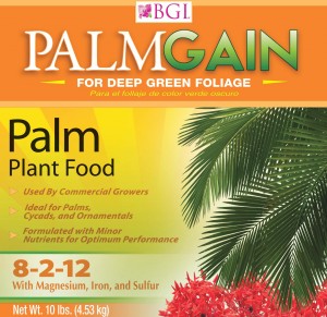 Palm Plant Fertilizer