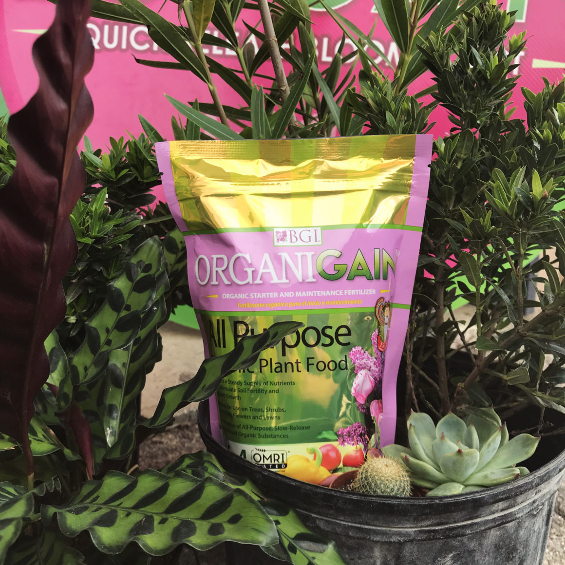 ORGANIGAIN® BGI Premium Plant Foods