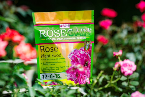 What You Should Know About Rose Fertilizer