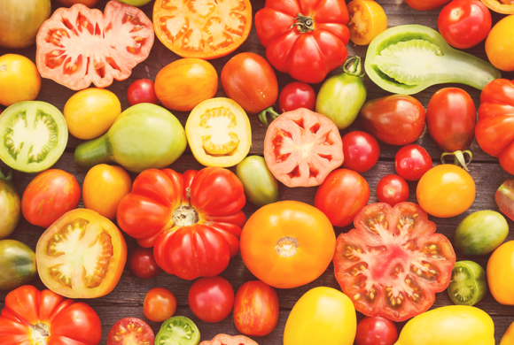 The Quest for Flavorful Tomatoes