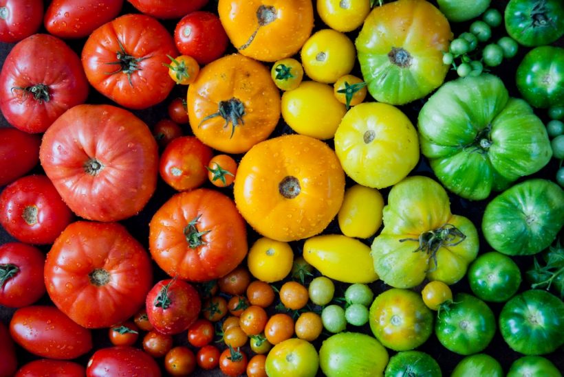 Selecting The Right Tomato Food