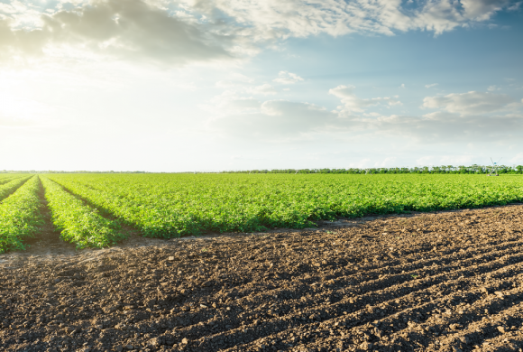 How to Read Fertilizer Labels & Myth-Busting Organic Farming