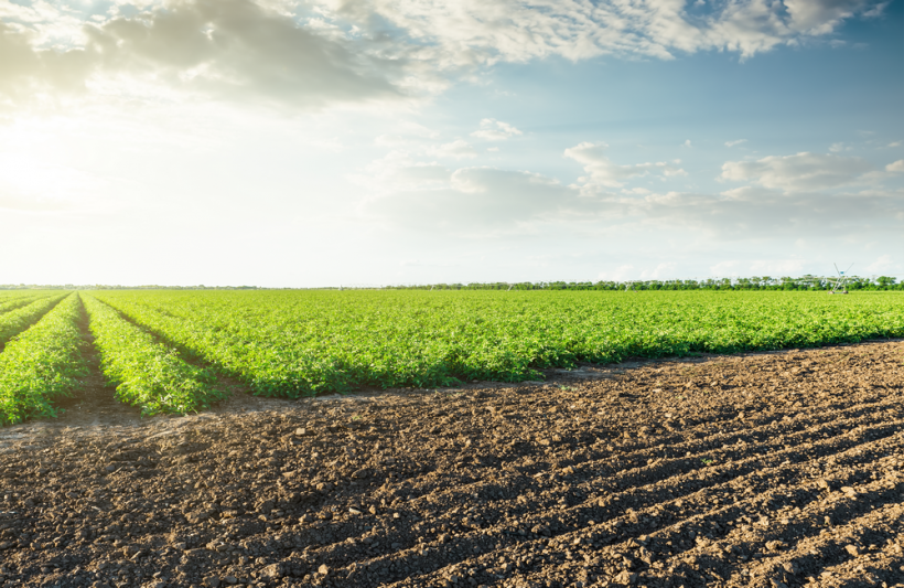 How to Read Fertilizer Labels & Myth-Busting Organic Farming